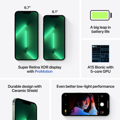 iPhone 13 Pro Max