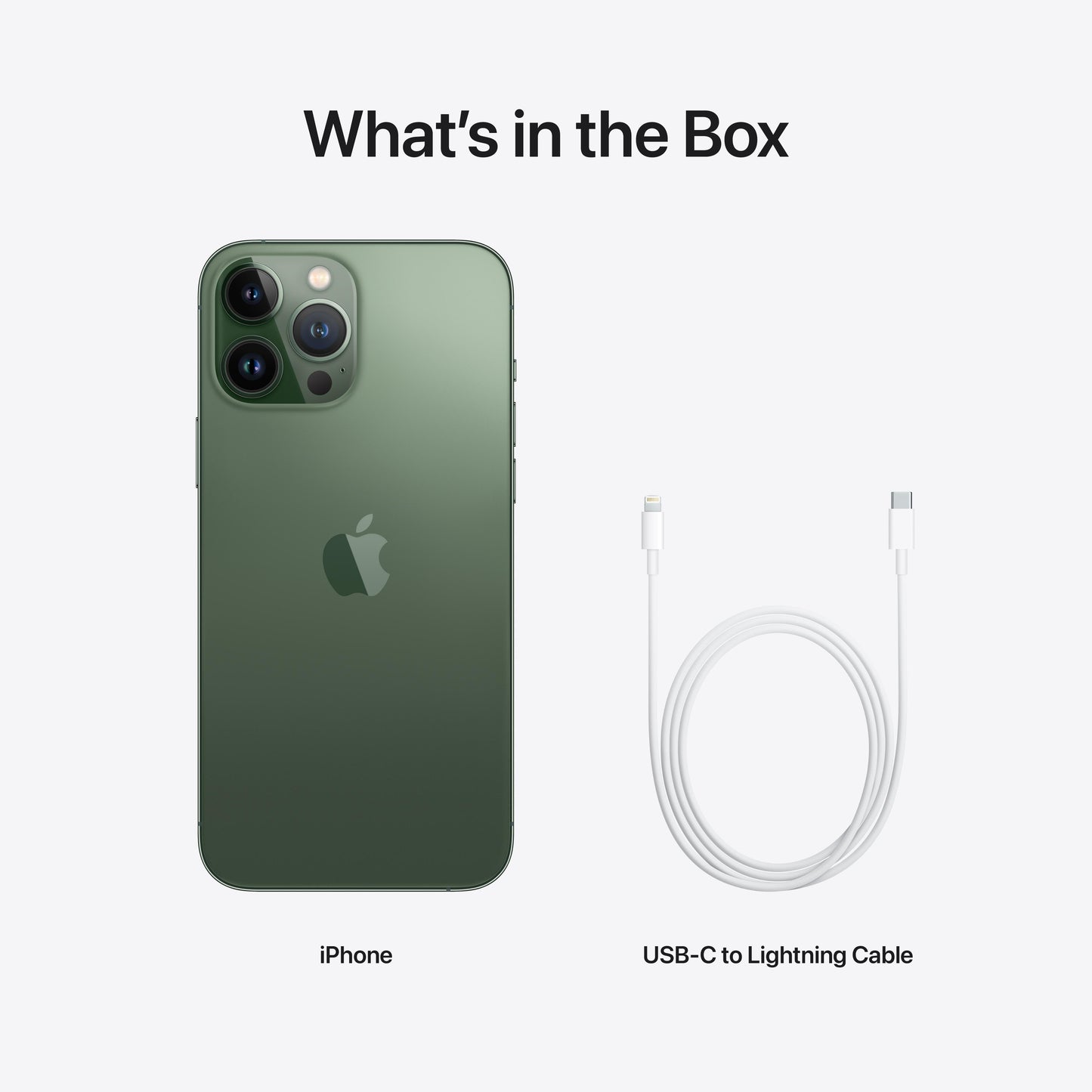iPhone 13 Pro Max